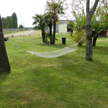Hotel Agriturismo Zio Michele Isola Della Scala Exteriér fotografie